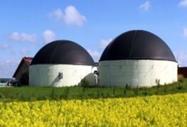 Biogas