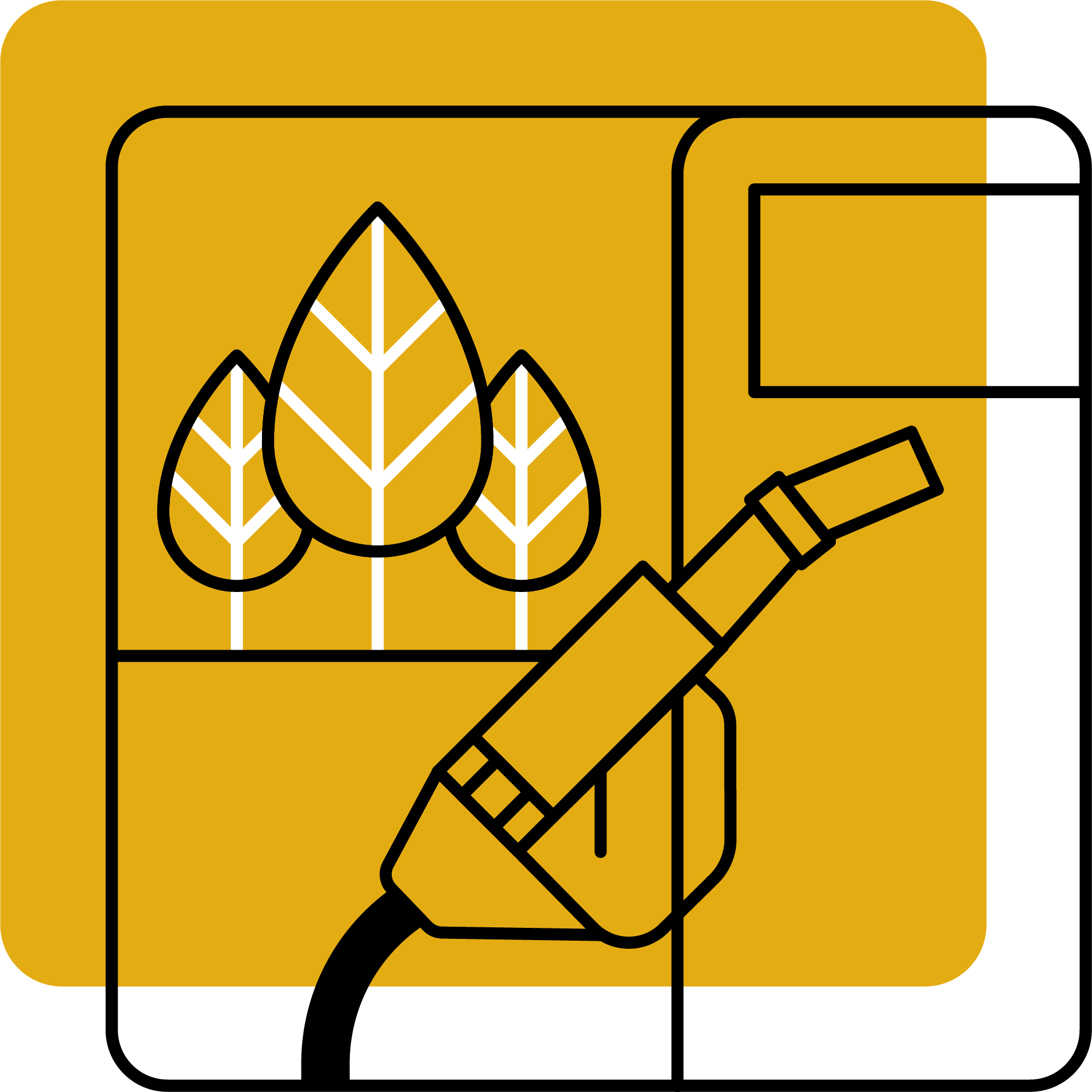 Renewable Fuels